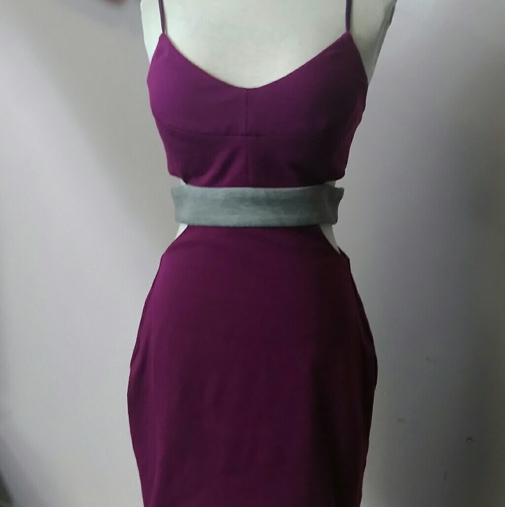Ark & Co fushia gray dress